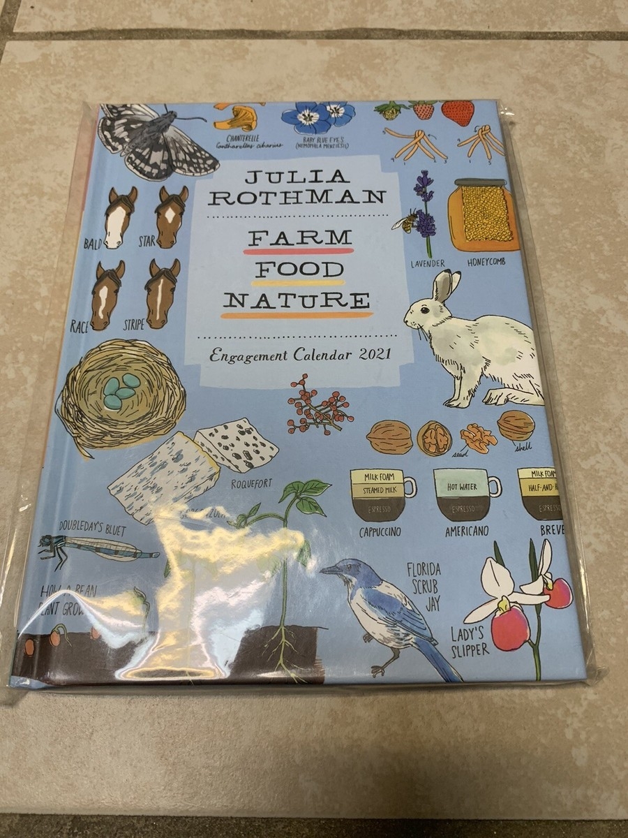 Julia Rothman Engagement Calendar 2025