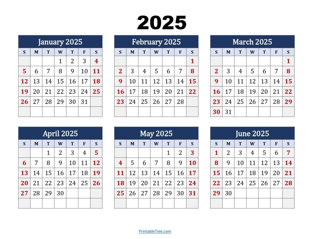 Six Month Calendar 2024 2025 Printable PDF 6 Months Calendar